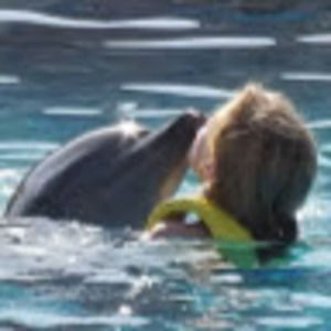 Meet your Posher, Nina